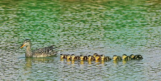 《微软飞行模拟2024》储存空间需求仅不到前作的1＆5